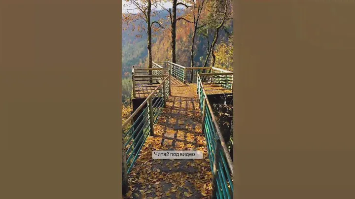 Вауууу! Как же красиво в Абхазии! Не верится что это правда! 😍👍