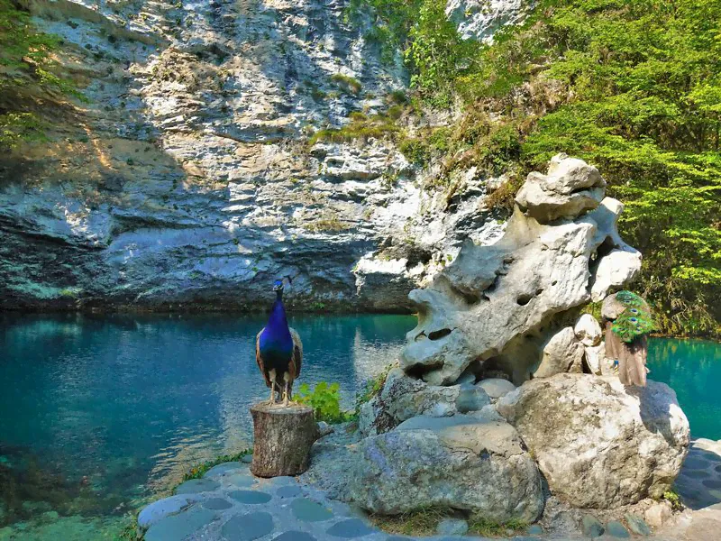Автобусная экскурсия «Таинственная Абхазия» © цена и отзывы 2024 года • Travel Mania