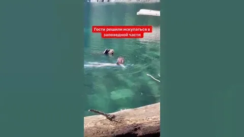 Русские туристы в Абхазии